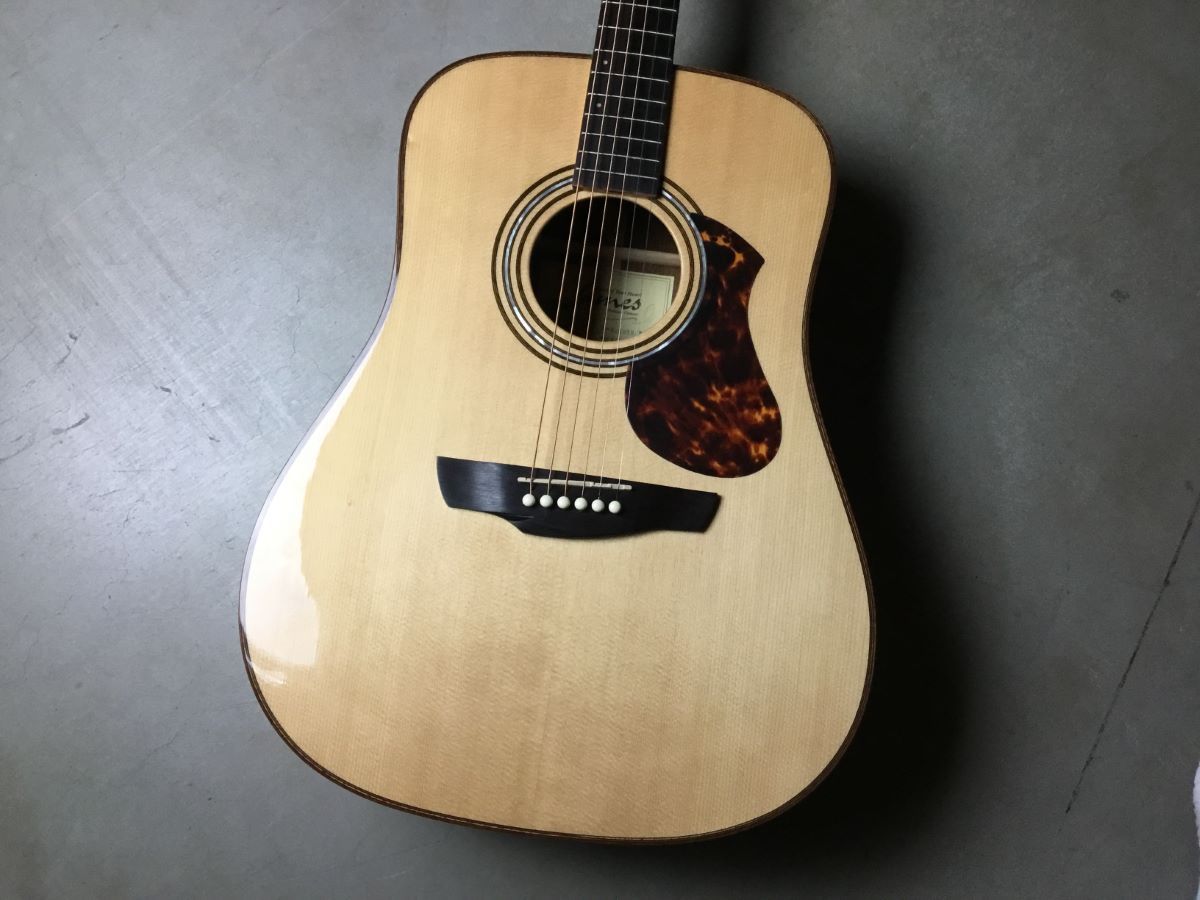 James（ジェームス）J-800D アコースティックギター オール単板 James J-800D エレクトリックアコースティックギター オール単板
