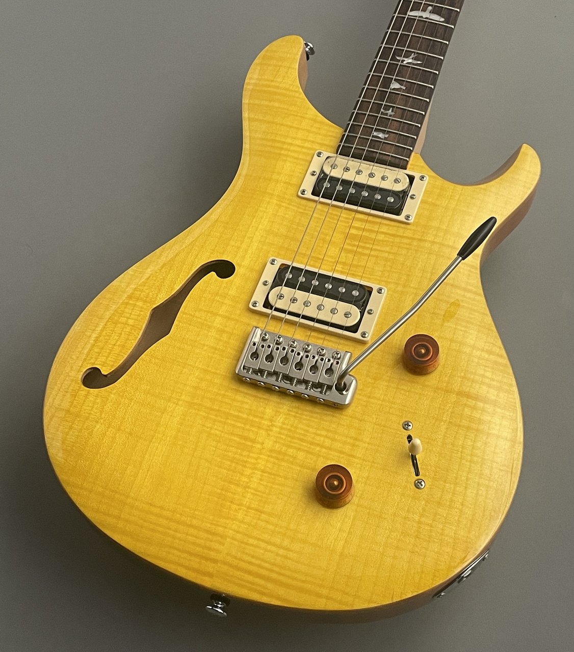 Paul Reed Smith(PRS) SE Custom 22 Semi-Hollow ~Santana Yellow