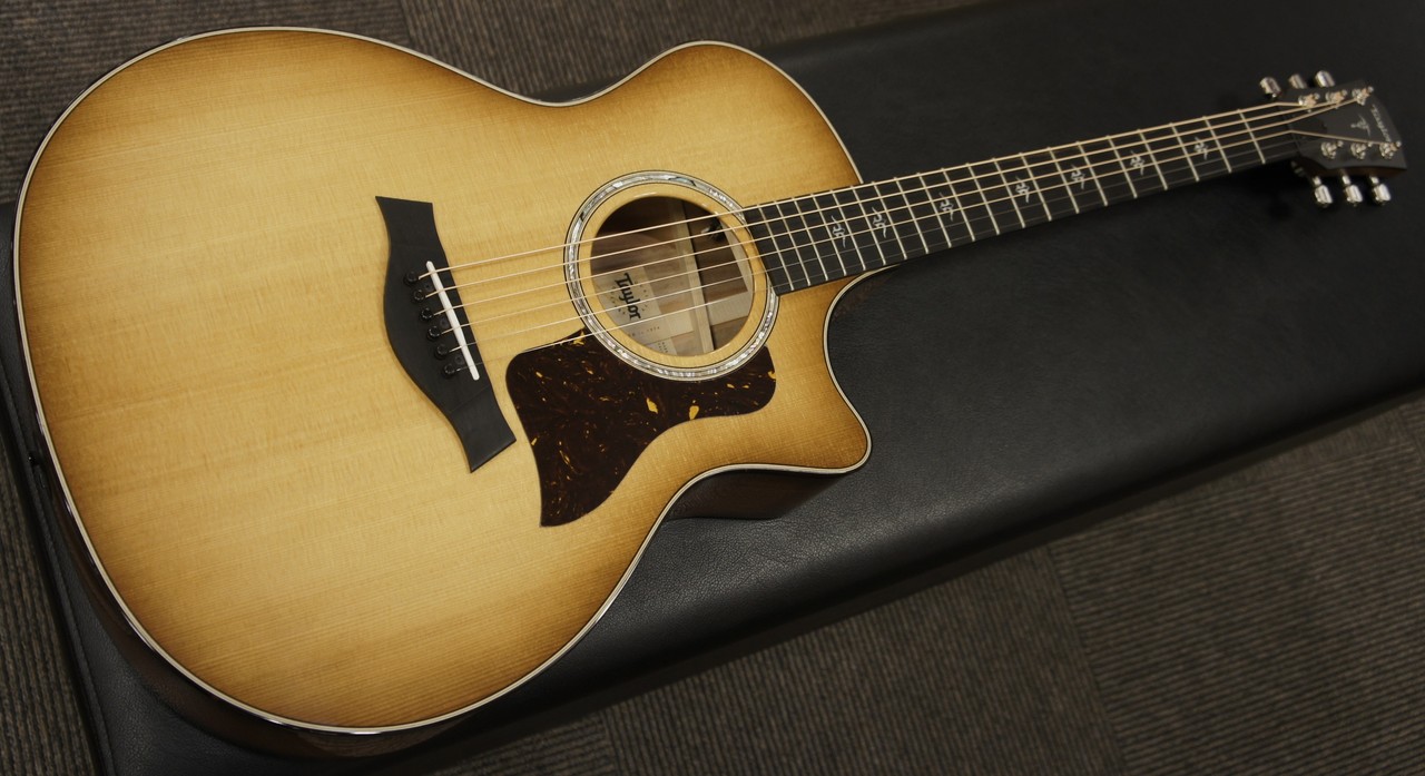 Taylor 514ce 【2019年製 生産完了モデル】 - アコースティックギター