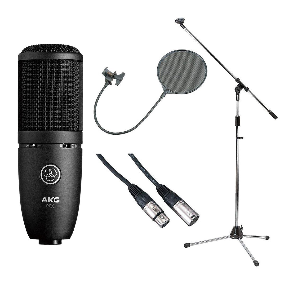 AKG PROJECT STUDIO LINE P120 コンデンサーマイク | hartwellspremium.com