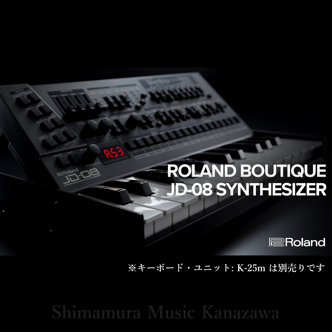 Roland JD-08 www.sudouestprimeurs.fr