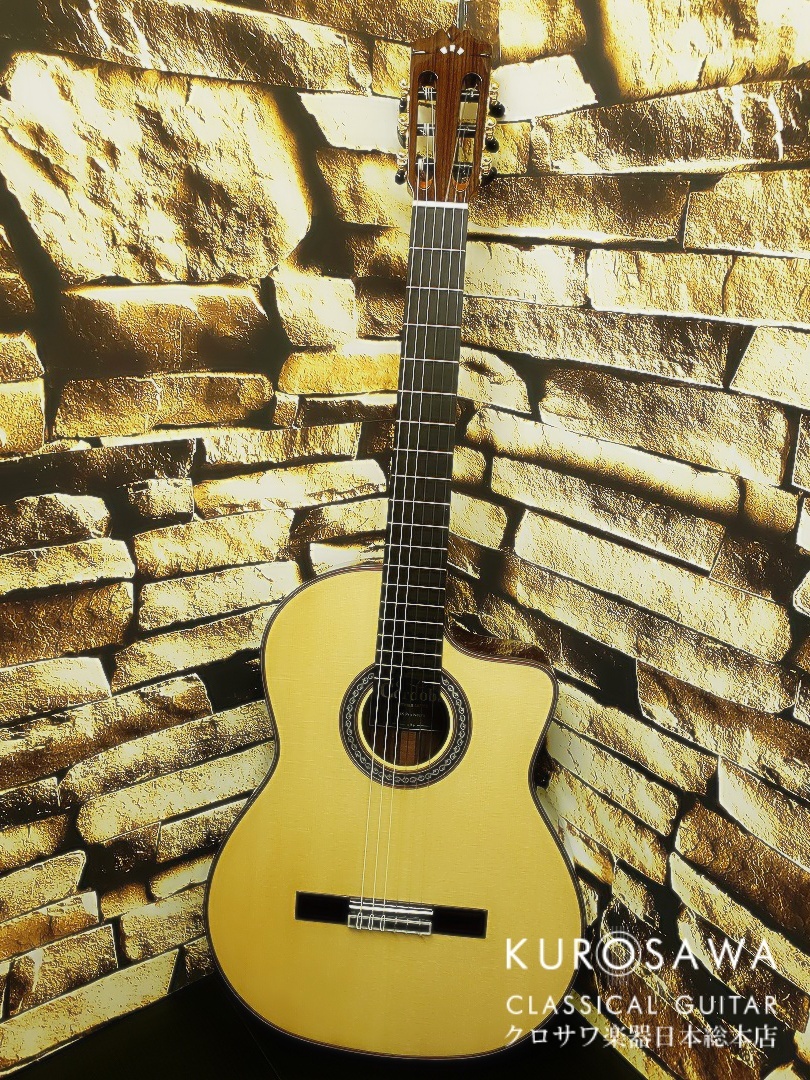 人気 Cordoba エレガット ギター FUSION シリーズ 12 Natural 通販
