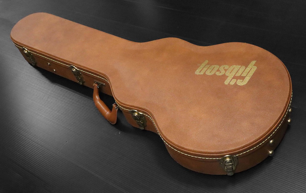 Gibson Les Paul Hard Case / レスポール用ハードケース | reelemin242.com