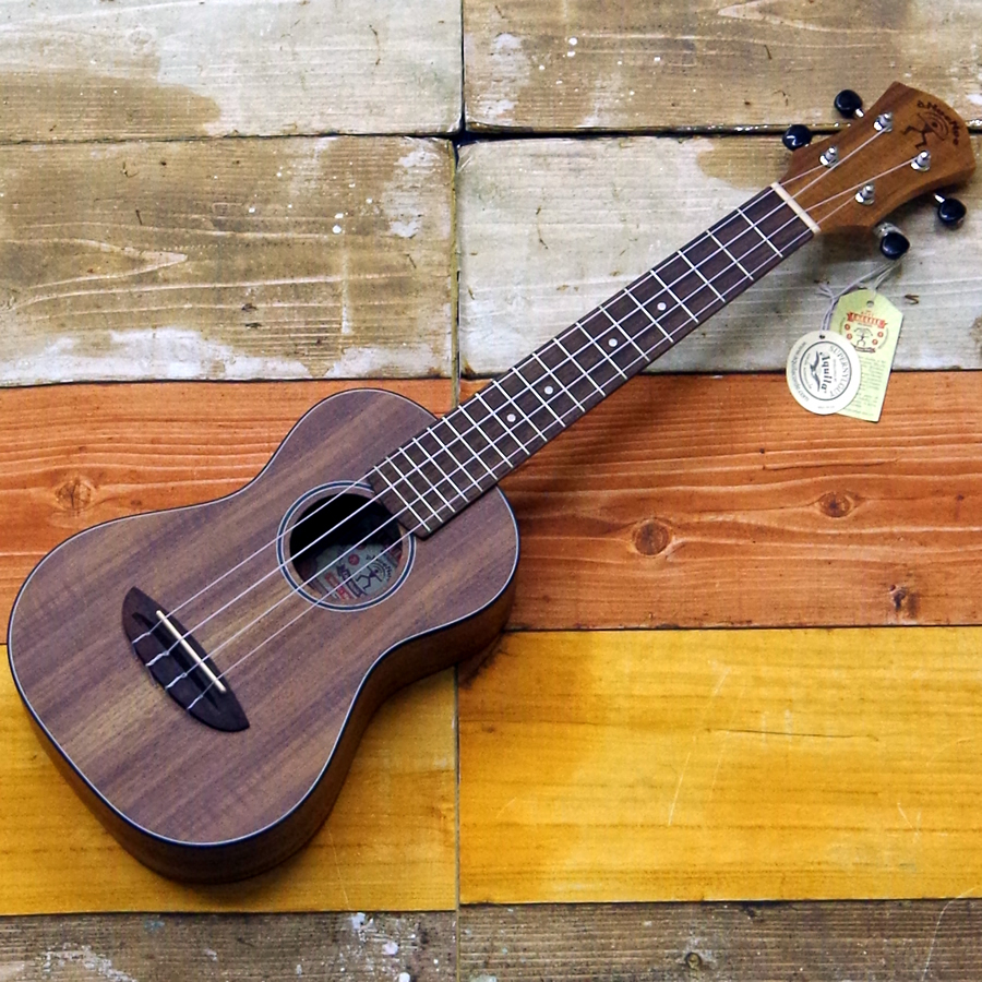 aNueNue Mini Koa/aNN-MCK（新品）【楽器検索デジマート】