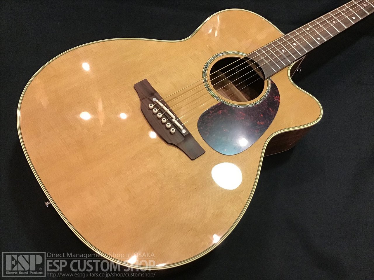 Takamine PTU731KC N（新品/送料無料）【楽器検索デジマート】