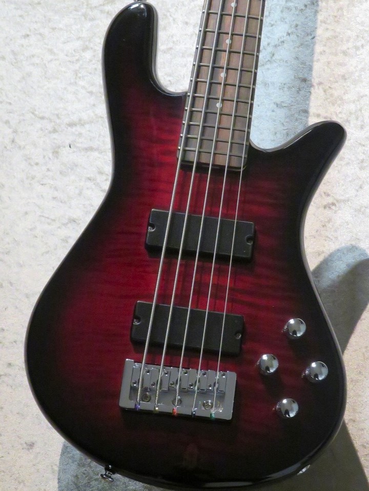 Spector Legend 5 Standard -Black Cherry-【5弦】【4.12kg】 （新品