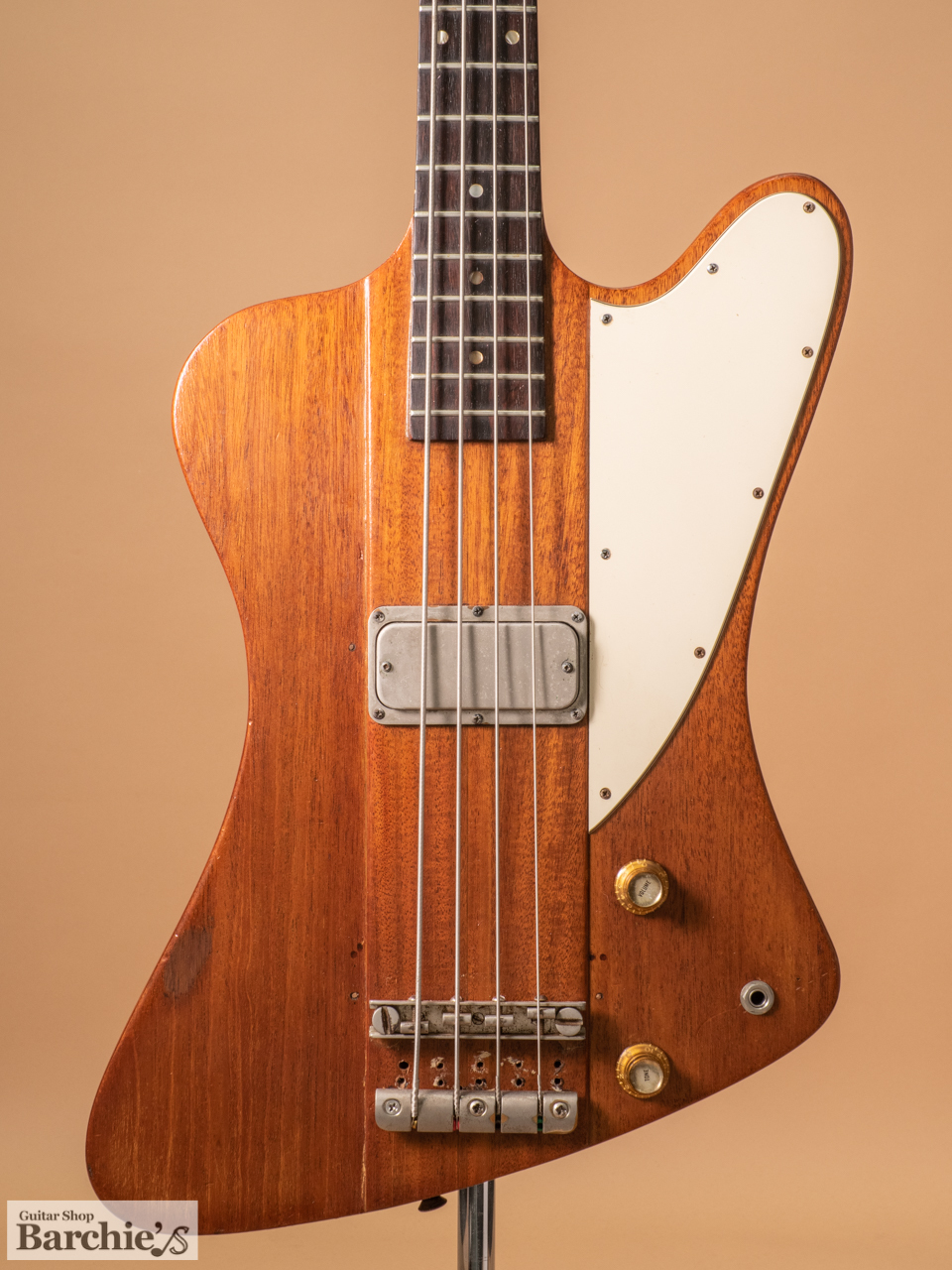 2023春夏新色 thunderbird Gibson thunderbird ギブソンサンダーバード 