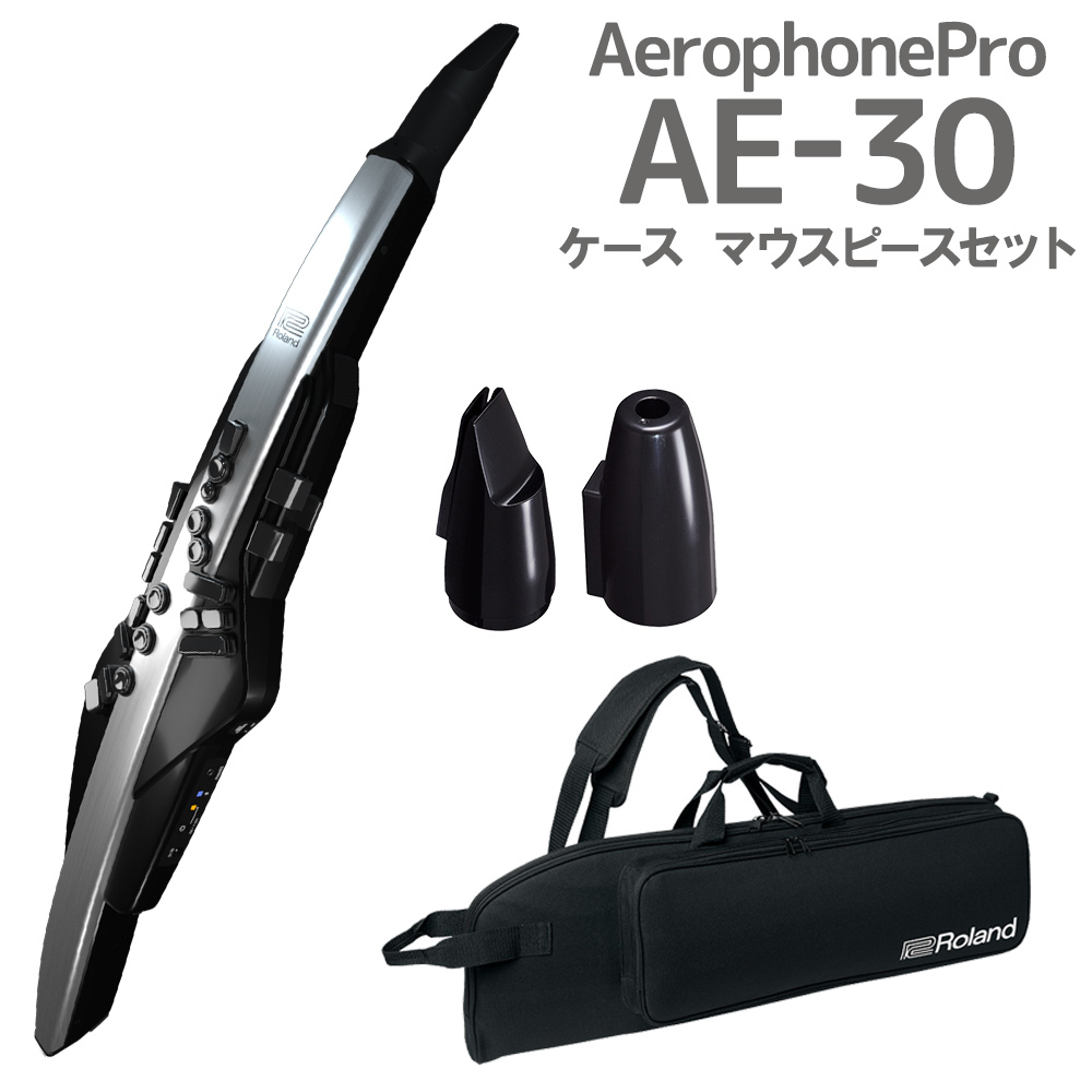 Roland AE-30 Aerophone Pro ケース 交換用マウスピースセット