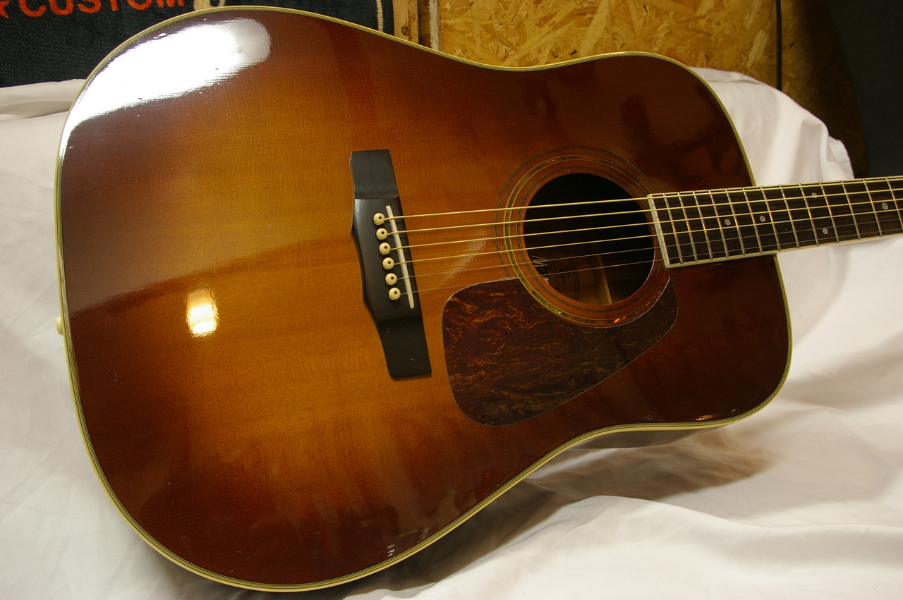 Morris M-50（中古）【楽器検索デジマート】