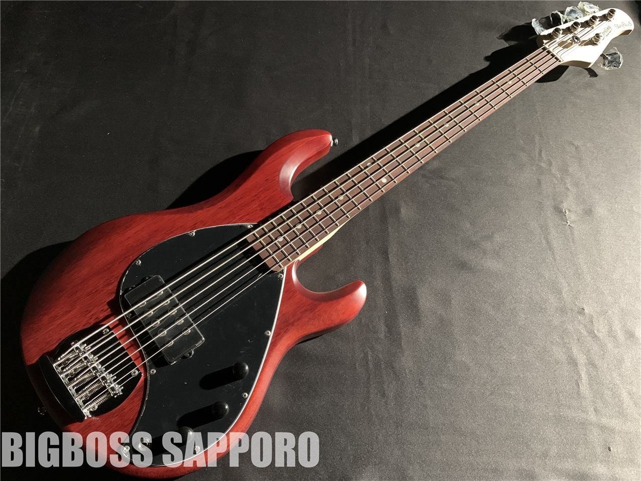 新品sterling musicman sub ray 5 stingray 未使用新品 www