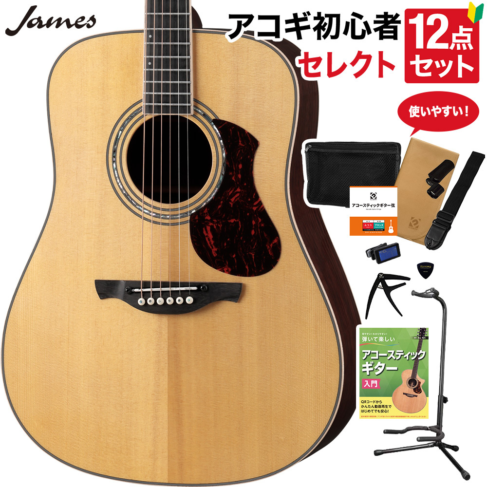 逸品】 James ジェームス JF400 TSB アコースティックギター ギター 