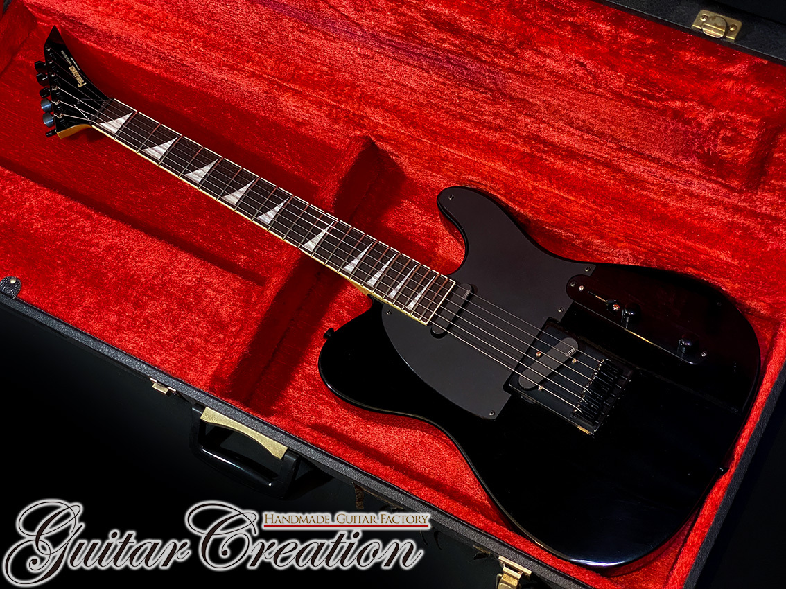フェルナンデスTEJ改 FERNANDES TEJ DELUXE 2S カスタムモデル