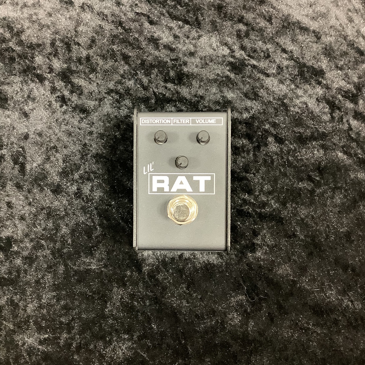 Pro Co LIL' RAT（新品/送料無料）【楽器検索デジマート】