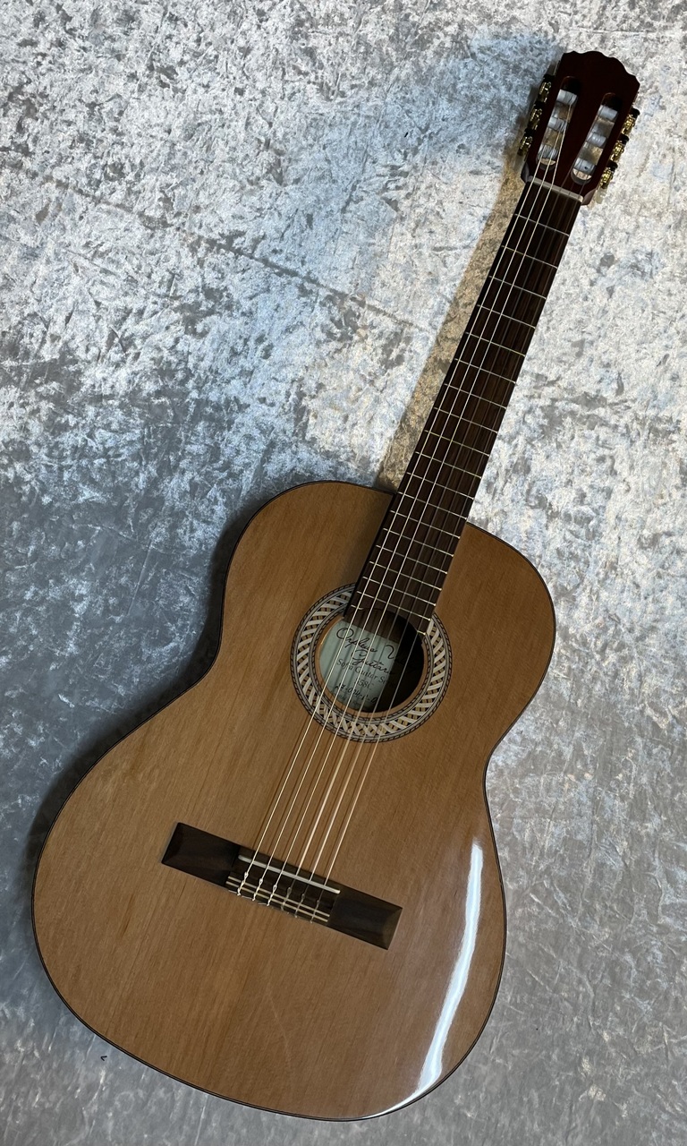 Orpheus Valley Guitars Sofia S58 Ceder 【福岡店 在庫品】（新品