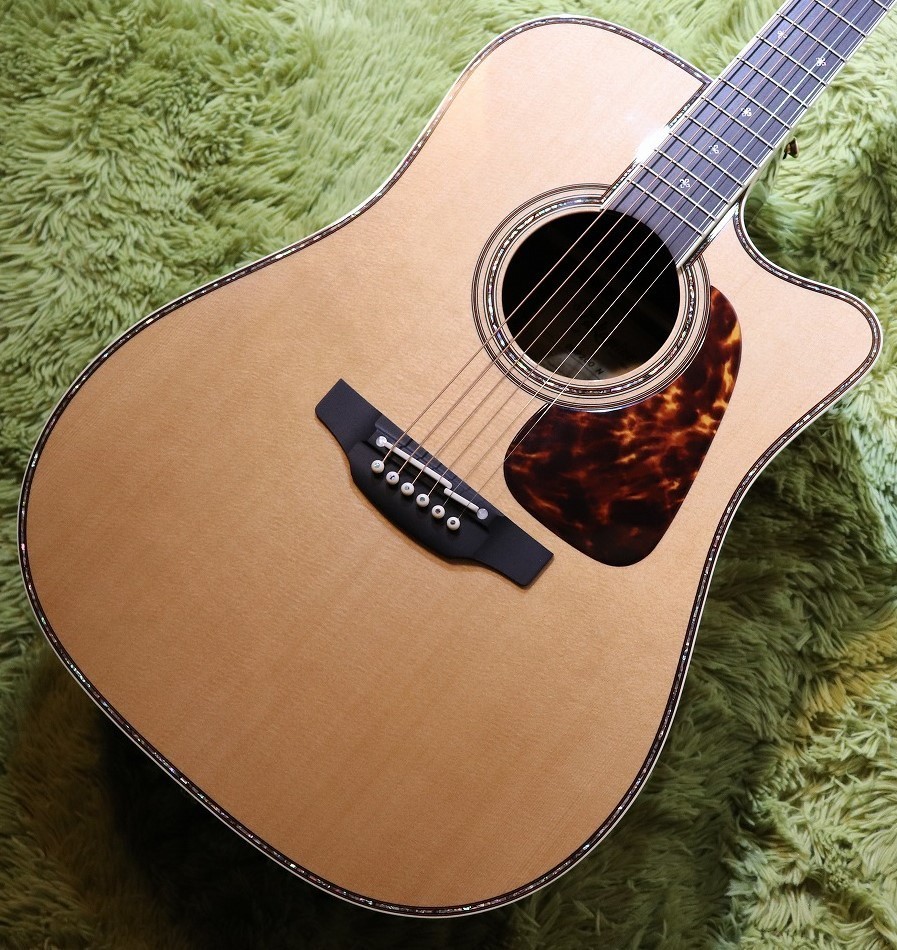 タカミネ Takamine アコースティックギター ドレッドノート