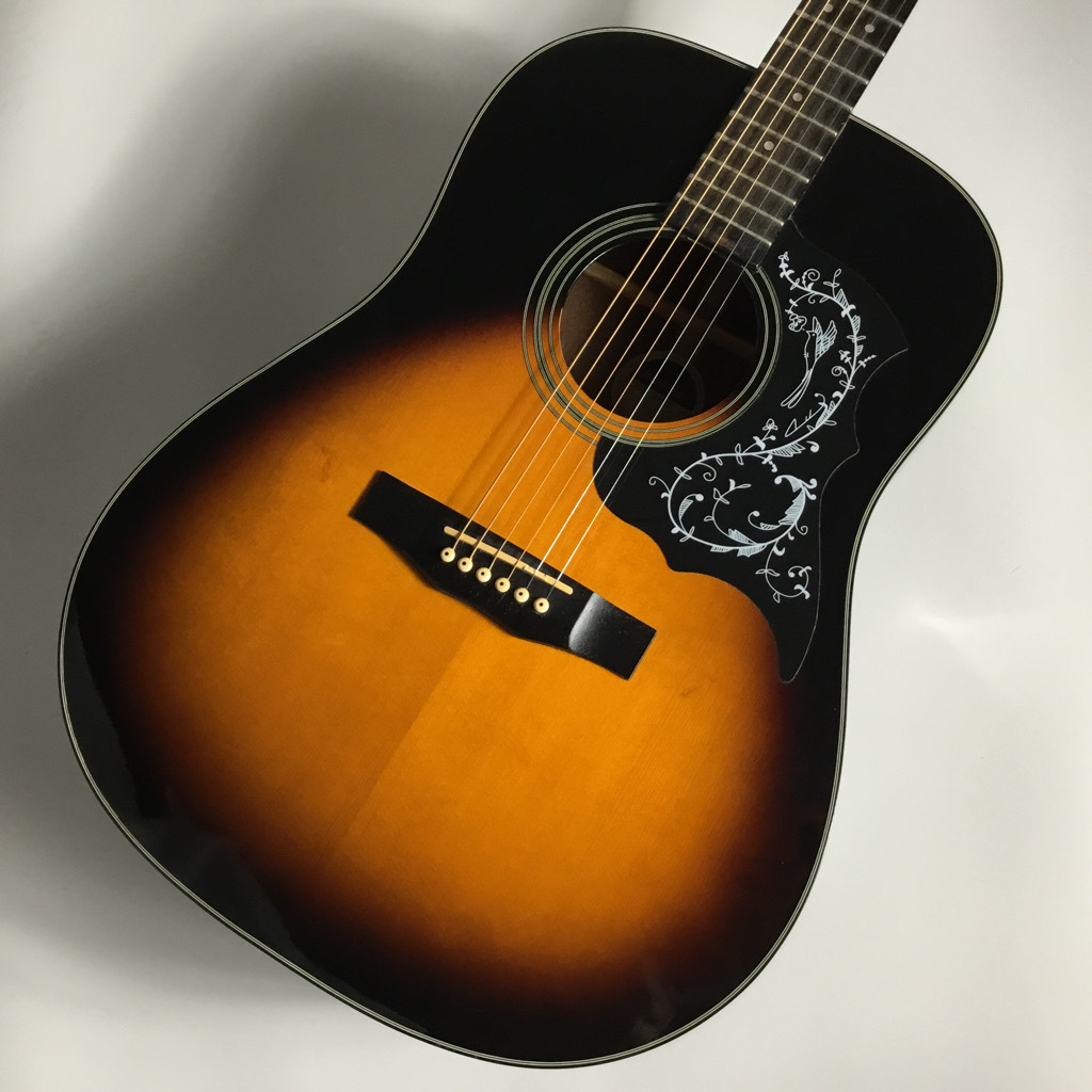 モーリス アコースティックギター m-01ts