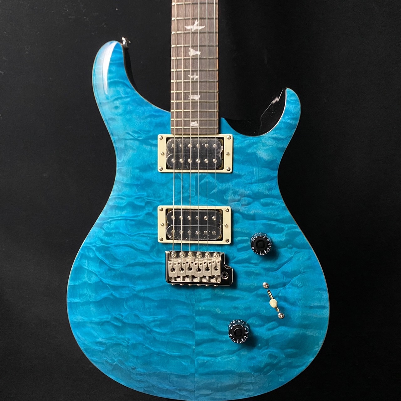 Paul Reed Smith(PRS) SE CUSTOM 24 QM SA（新品/送料無料）【楽器検索