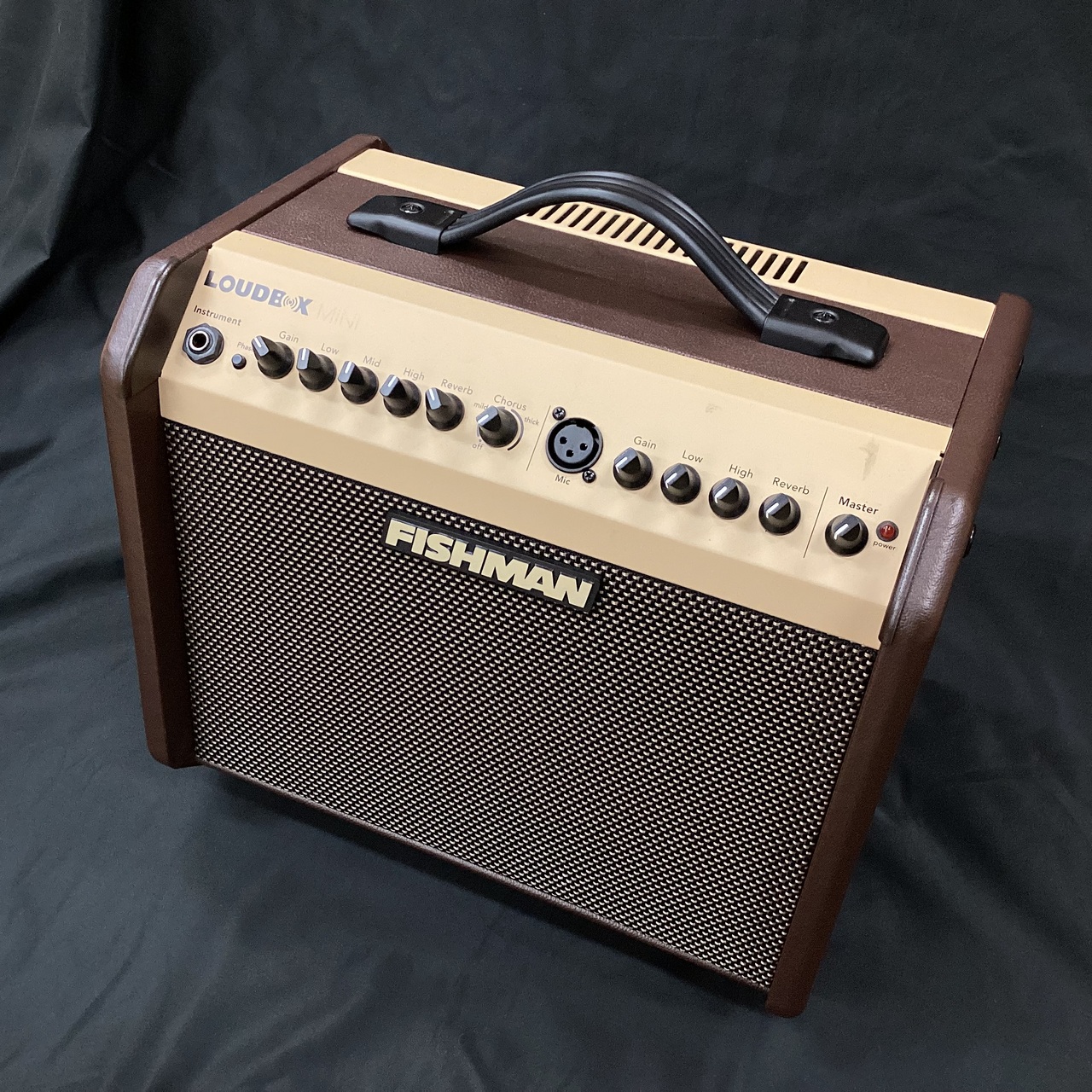 FISHMAN Loudbox mini（中古）【楽器検索デジマート】