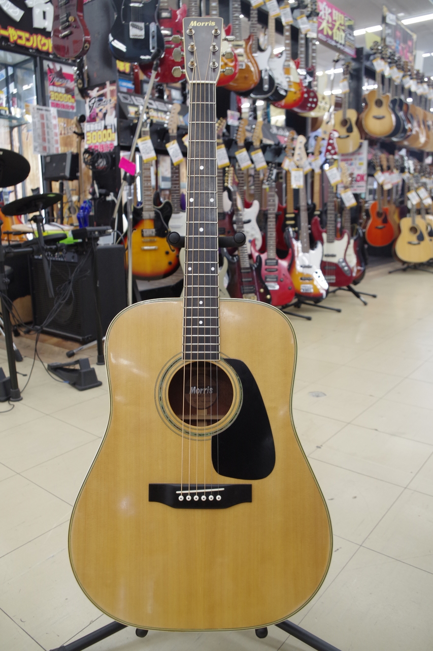 Morris MD-510 Acoustic Guitar アコースティックギター モーリス -GrunSound-x167- - 楽器、器材