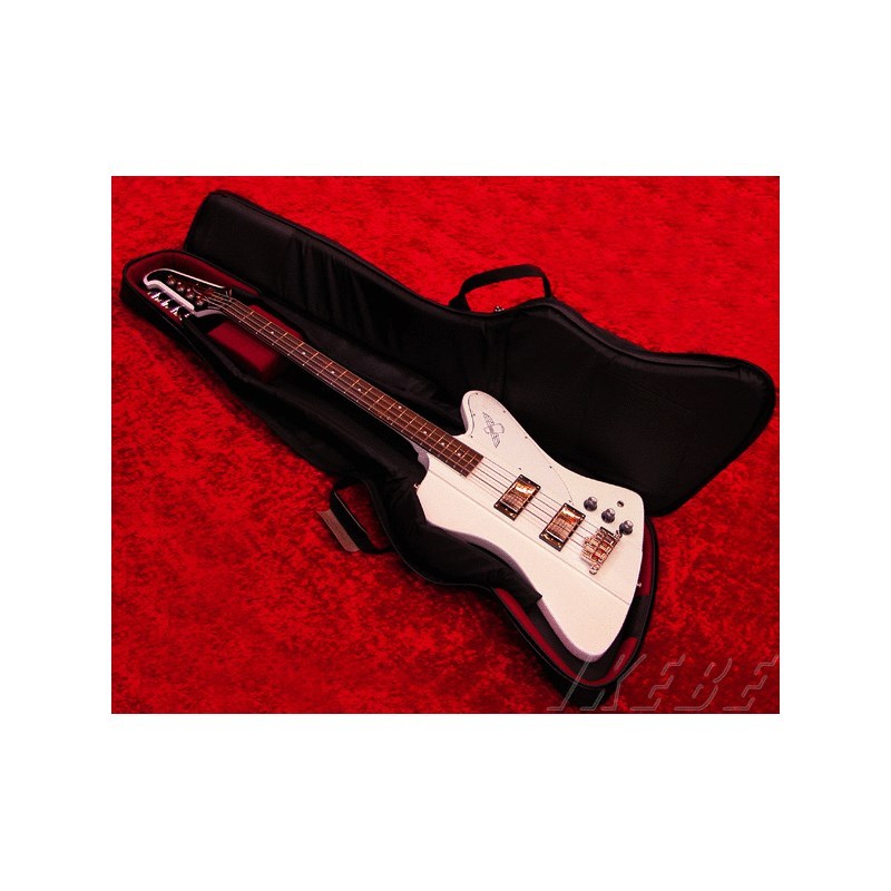 NAZCA 【受注生産品】 Protect Case [Thunderbird・IMPULSS Bass用 ...