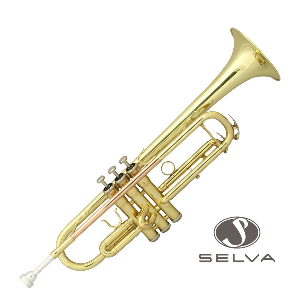 Selva STR-100 B♭トランペット 入門用トランペット ゴールドラッカー