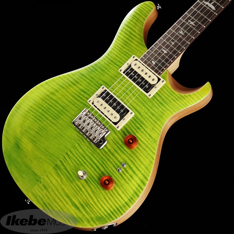 Paul Reed Smith(PRS) SE Custom 24-08 (Eriza Verde)（新品）【楽器