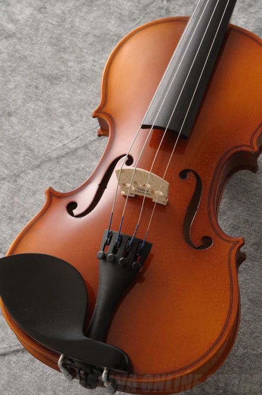 Reghin 1/4 Violin分数バイオリンセット(新品/送料無料)【楽器検索