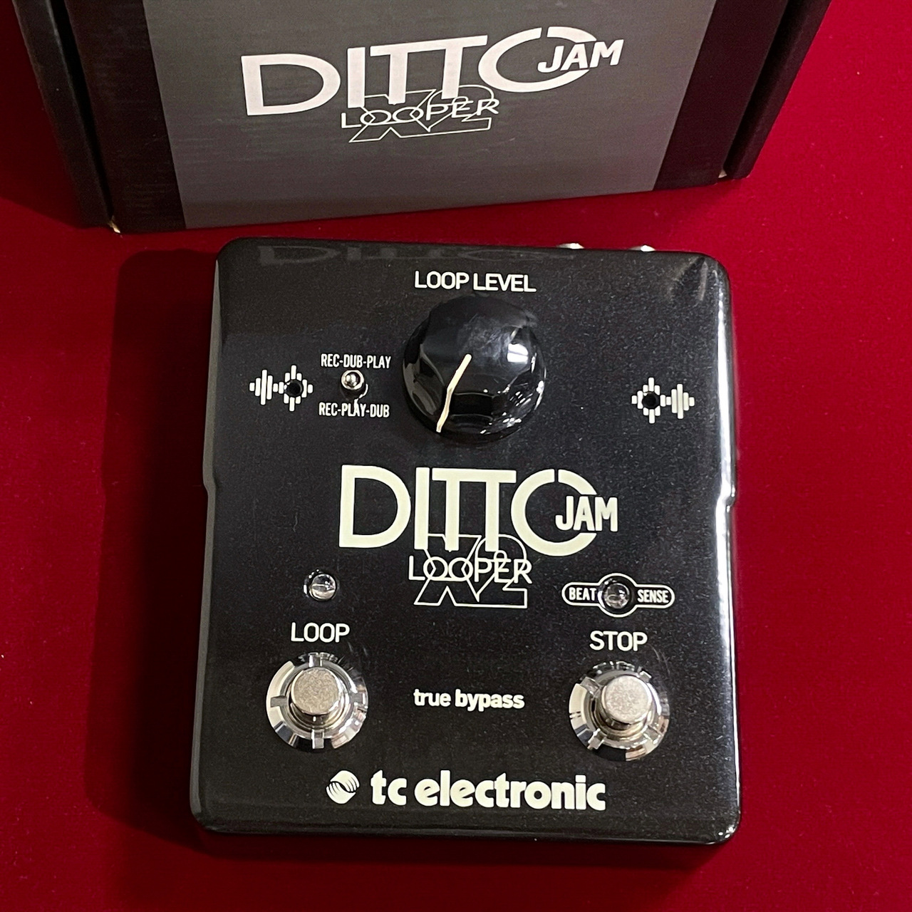 tc electronic DITTO JAM X2 LOOPER 【在庫入替特価・限定1台】【送料