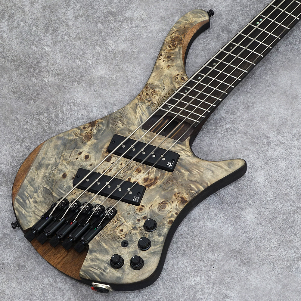 Bass Workshop EHB1505MS-TSF マルチスケール採用モデル - ベース