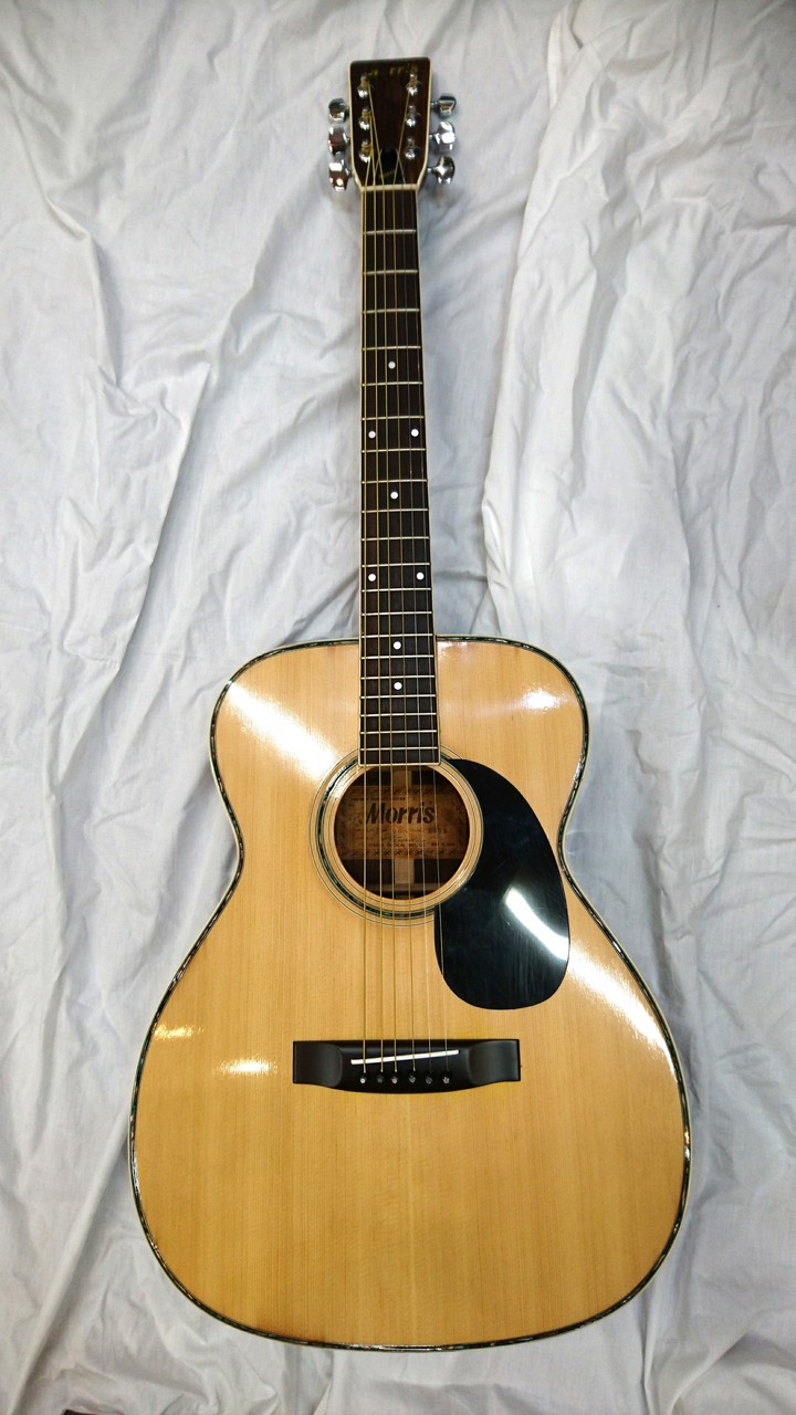 モーリス ギター F20 - 器材