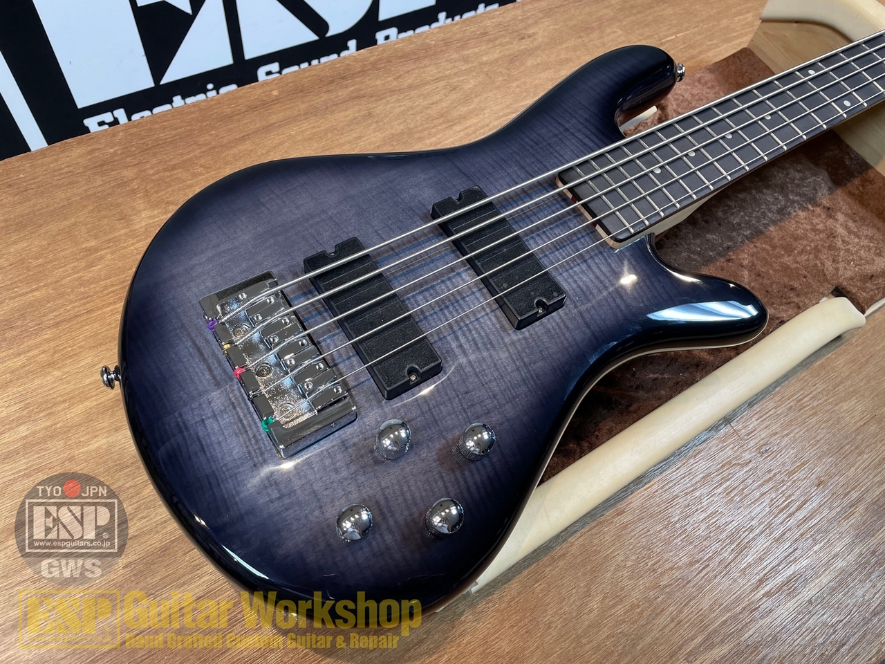 Spector Legend 5 Standard【Black Stain Gloss 】（新品/送料無料