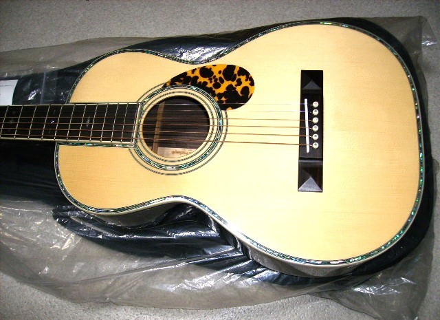 ARIA ADL-935 オール単板 本格パーラーギター（新品）【楽器検索 ...