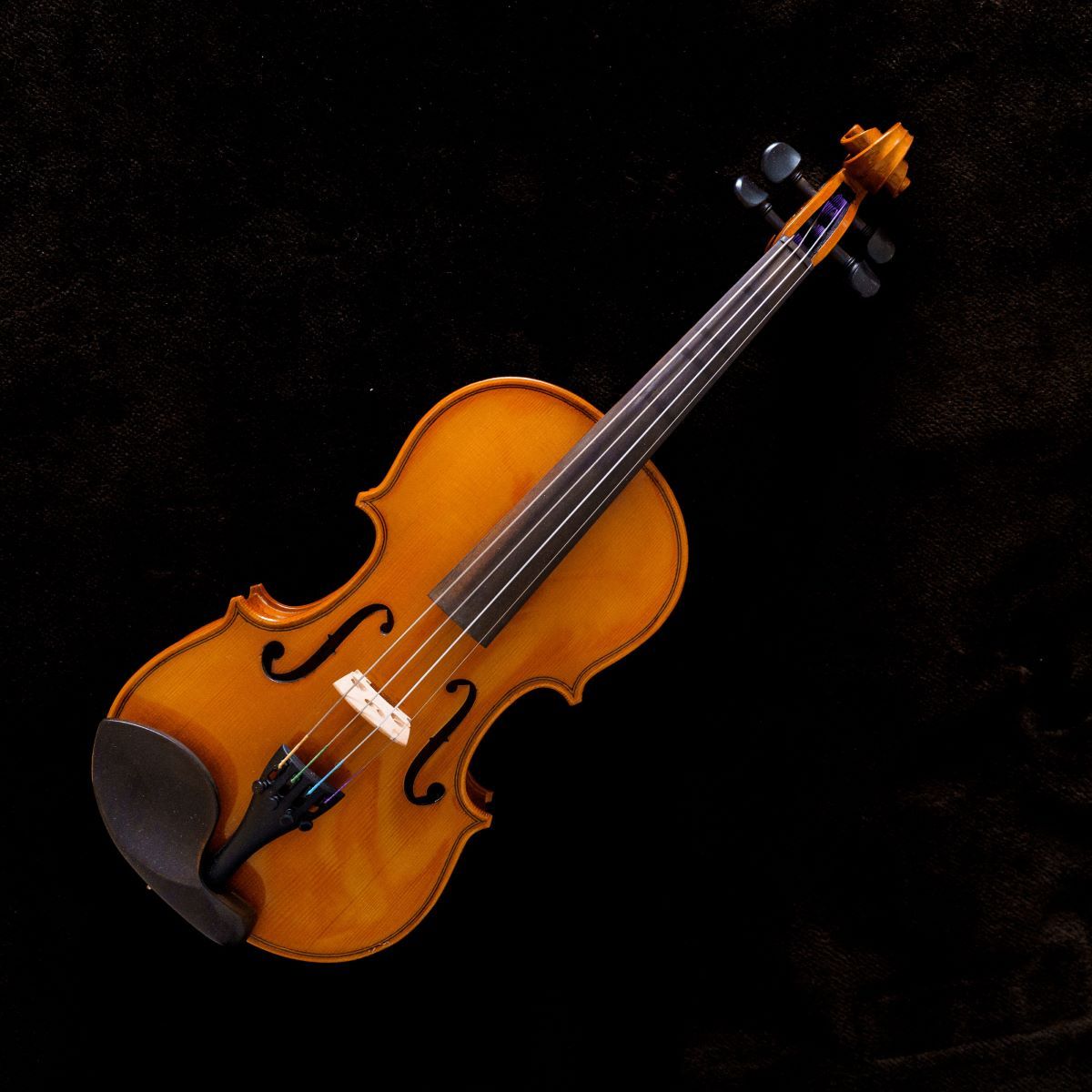 「正規品」 イーストマン　分数バイオリン　1/4 弦楽器