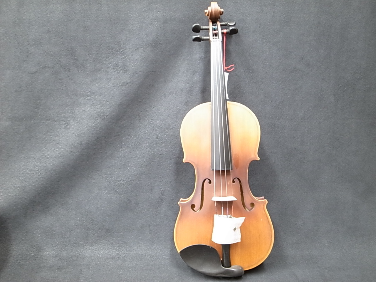 HOLLSTATTOバイオリン　V-12