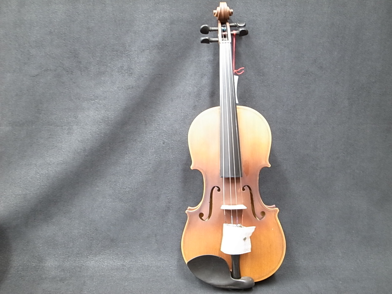 メーカー公式ショップ VIOLIN v-12入門セット i9tmg.com.br