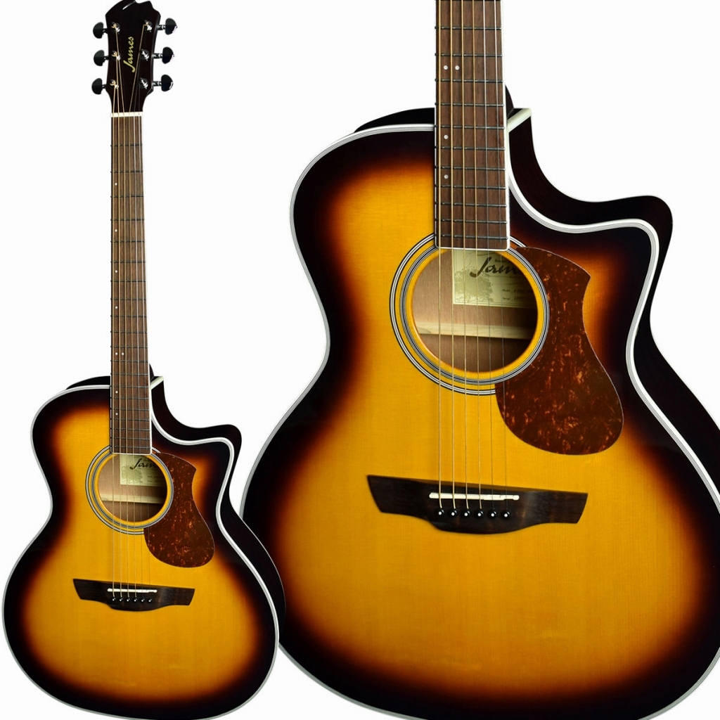 james J-350C エレアコ ギター - アコースティックギター