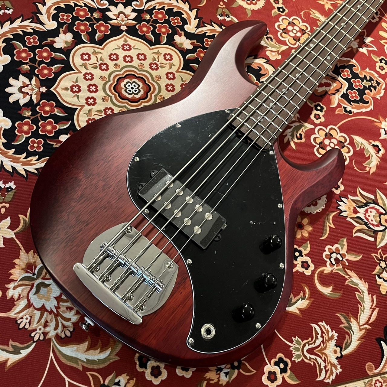 Sterling by MUSIC MAN STINGRAY RAY5 WS 5弦エレキベース（新品/送料