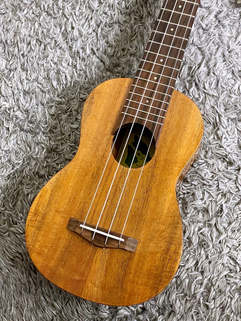 楽天市場】ARIA アリア ウクレレ AU-1HK ハワイアンコア 単板 AU