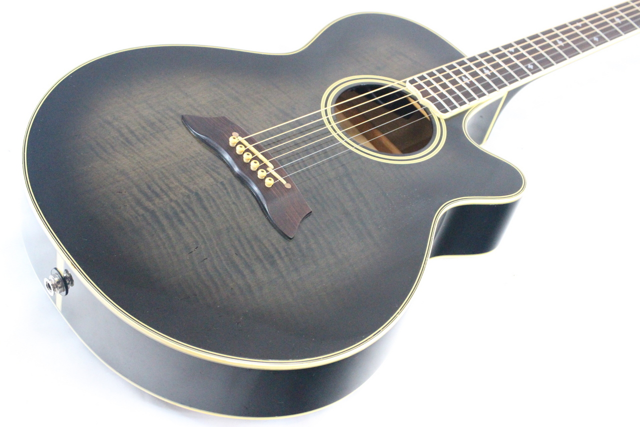 Takamine NPT110-6（中古）【楽器検索デジマート】