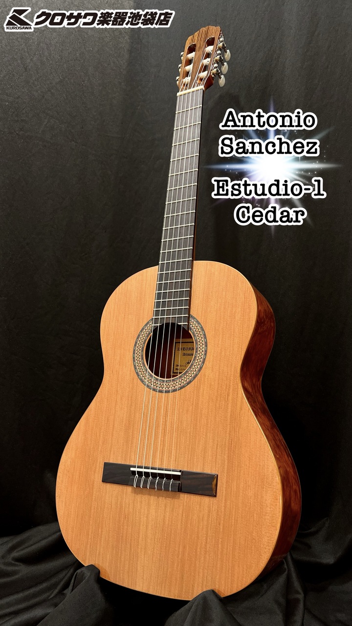 マリナボーダー Antonio Sanchez Estudio-3 Cedar 2010年ギター | www