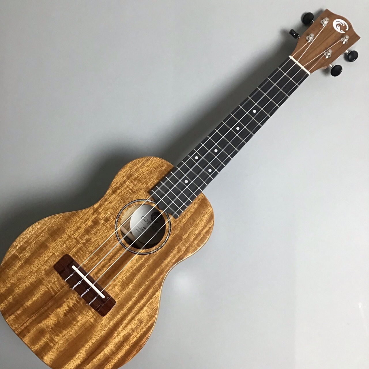 ウクレレ COTONE コトネ CS5C | www.caffeottavo.com