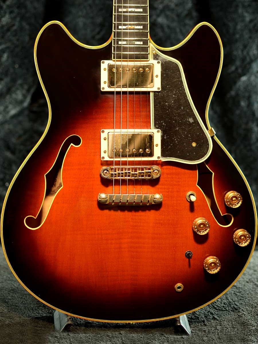 送料無料（沖縄は1000円) Ibanez AS200 | www.doroteohotelboutique.com
