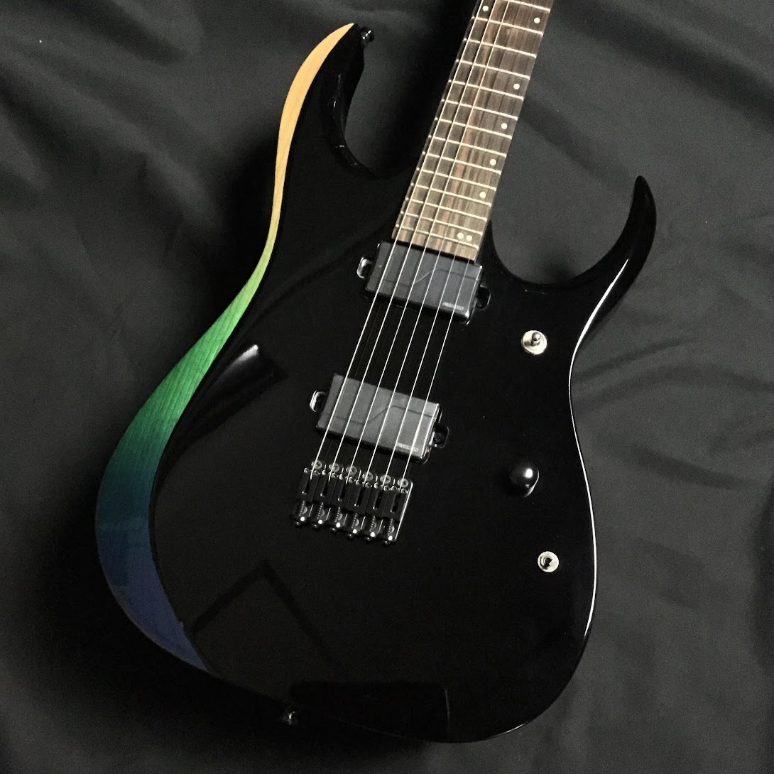 Ibanez RGD61ALA Midnight Tropical Rainforest（新品/送料無料