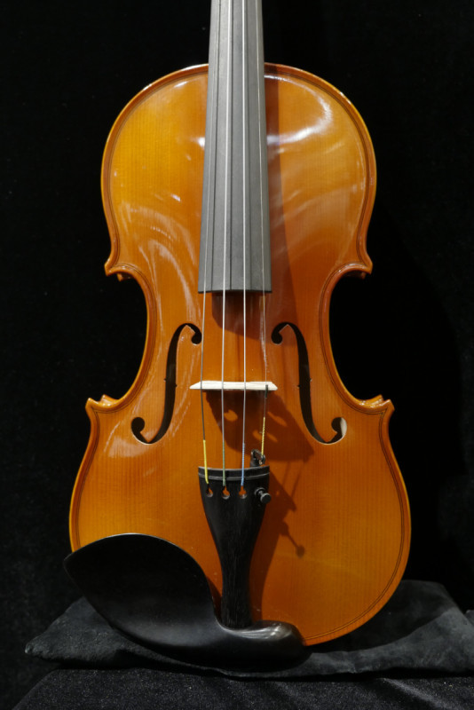 Valente Germany VG-1 4/4 Violin Set（中古）【楽器検索デジマート】