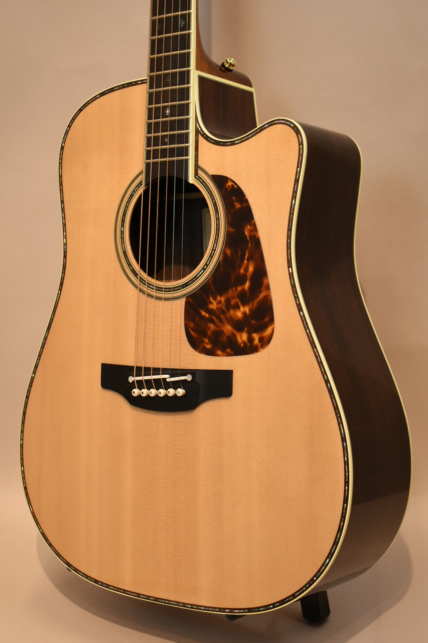 takamine dmp200