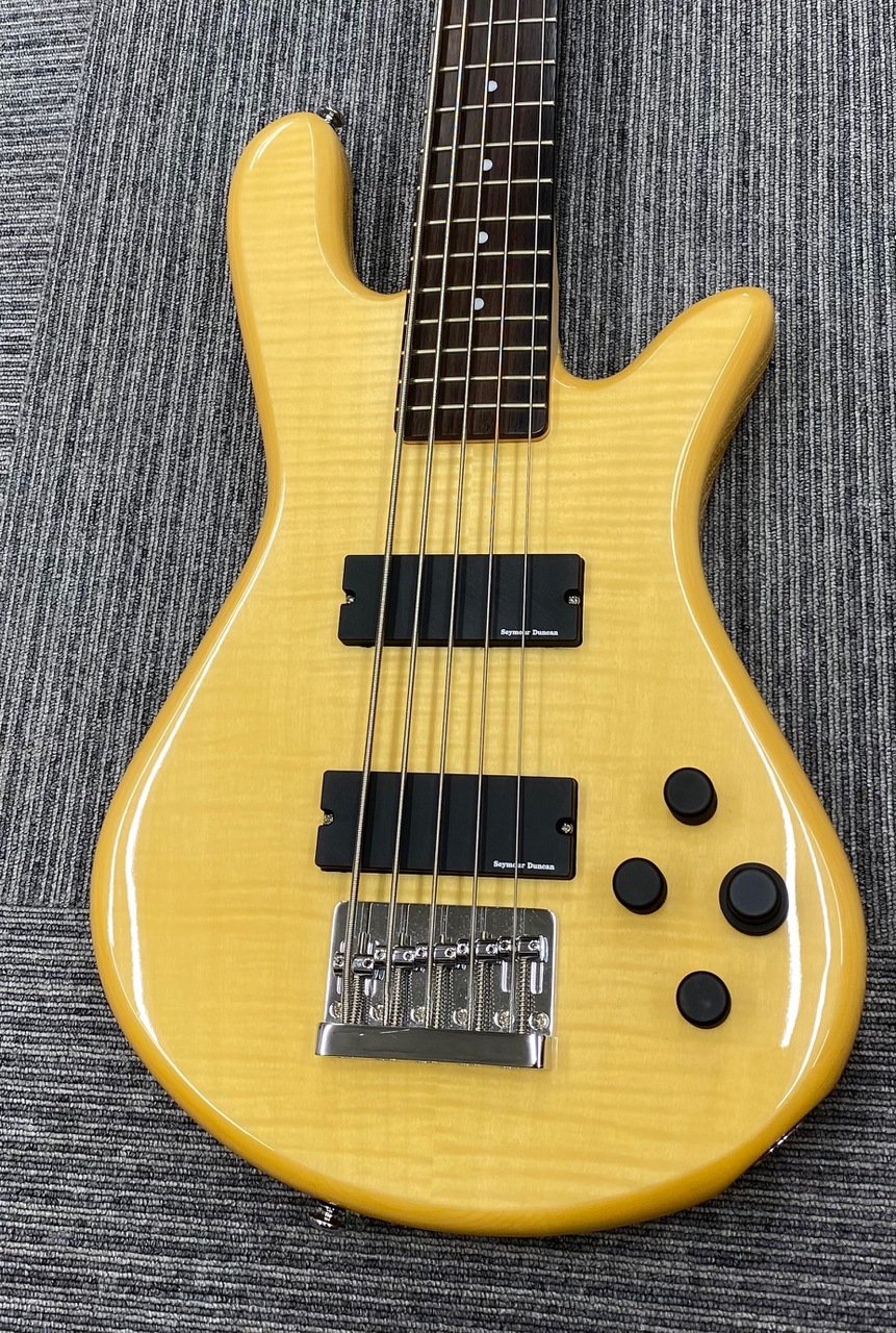 Spector USED Performer Classic 5 Active 