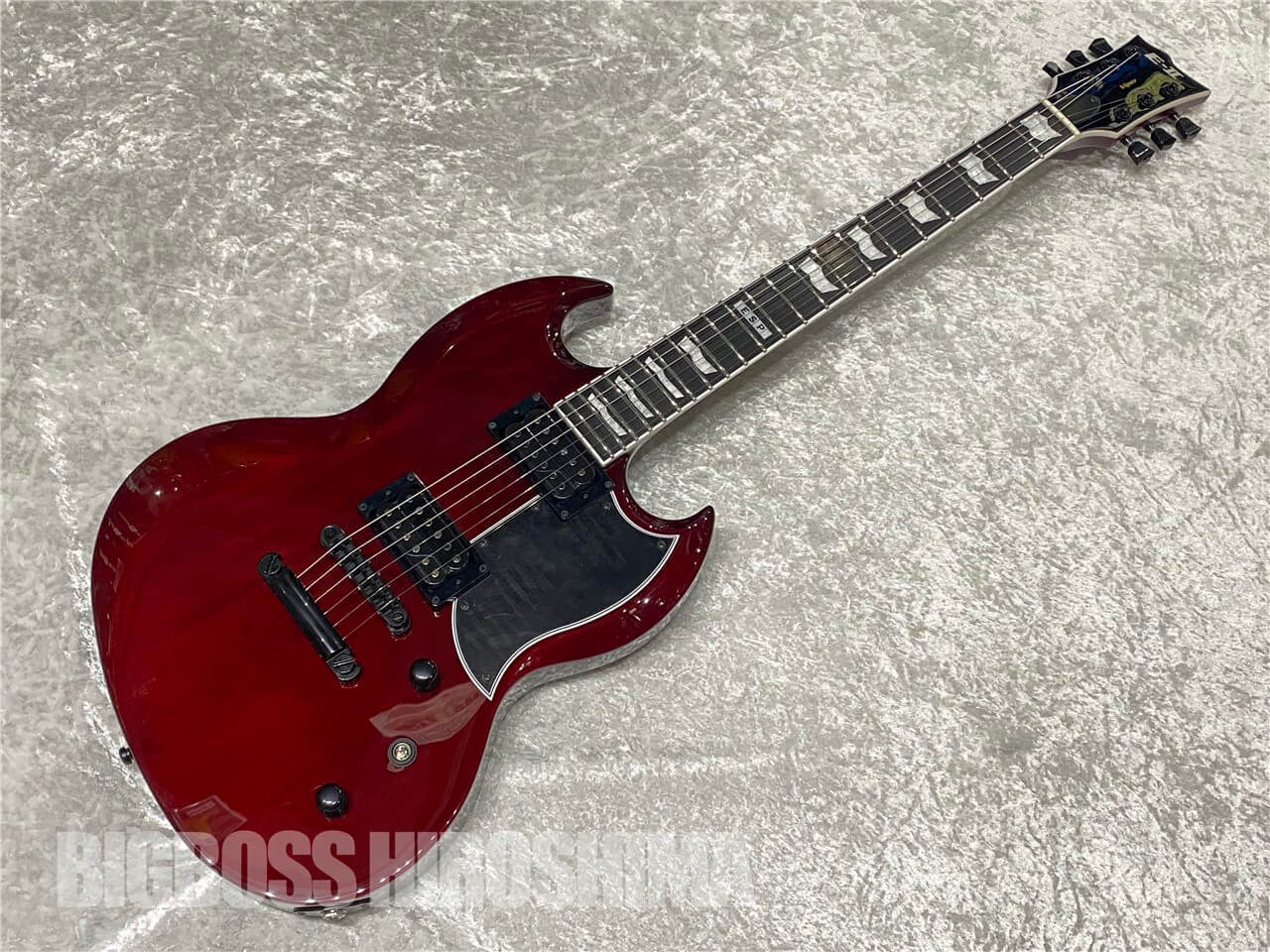 E-II VIPER FL (See Thru Black Cherry)（新品/送料無料）【楽器検索