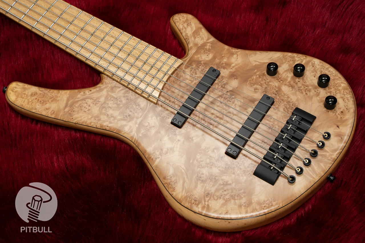 bassguitars