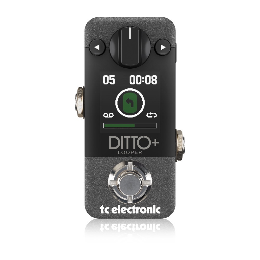 tc electronic DITTO+ LOOPER ルーパー ギターエフェクター（新品/送料