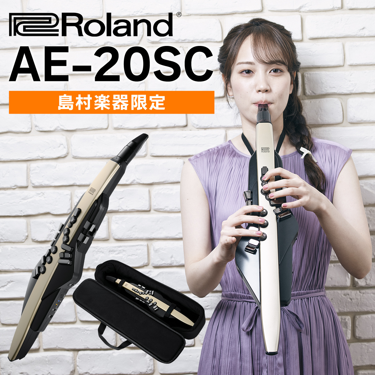 Roland（ローランド）/AE-20SC【付属品一式、マウスピース交換済】 【USED】【立川店】